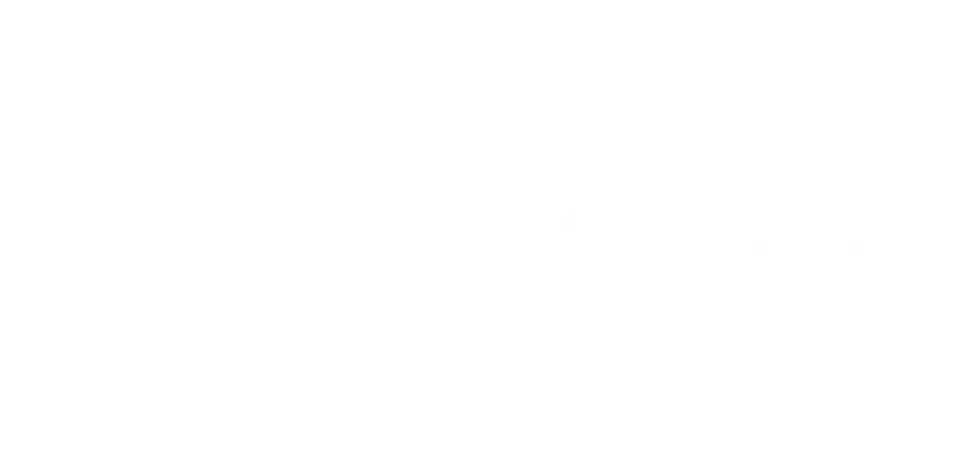 C21 Connect logo