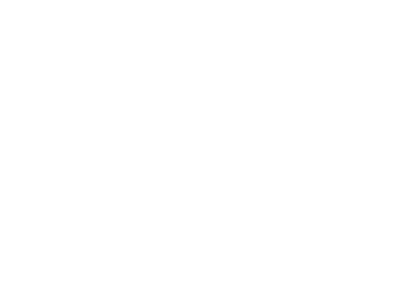 Hangar logo