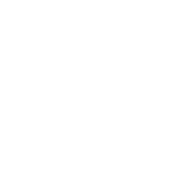 Maisons Niels logo