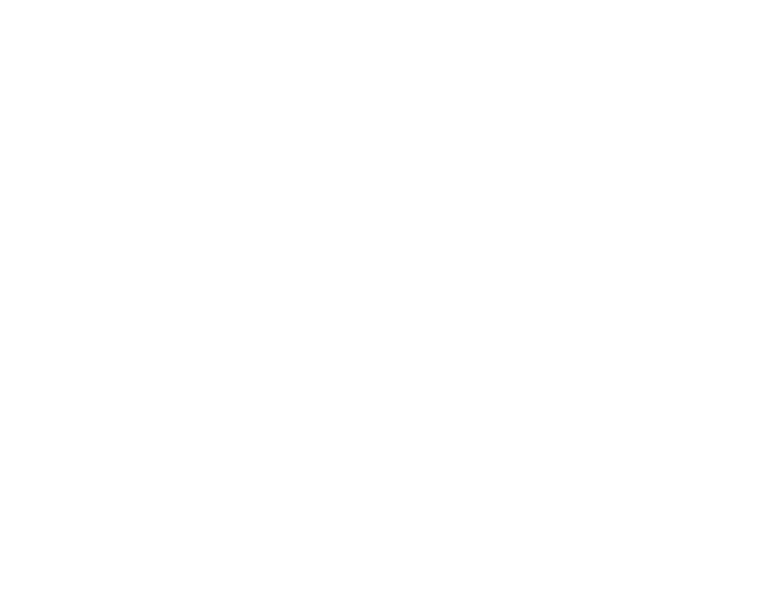 Studio Tom logo