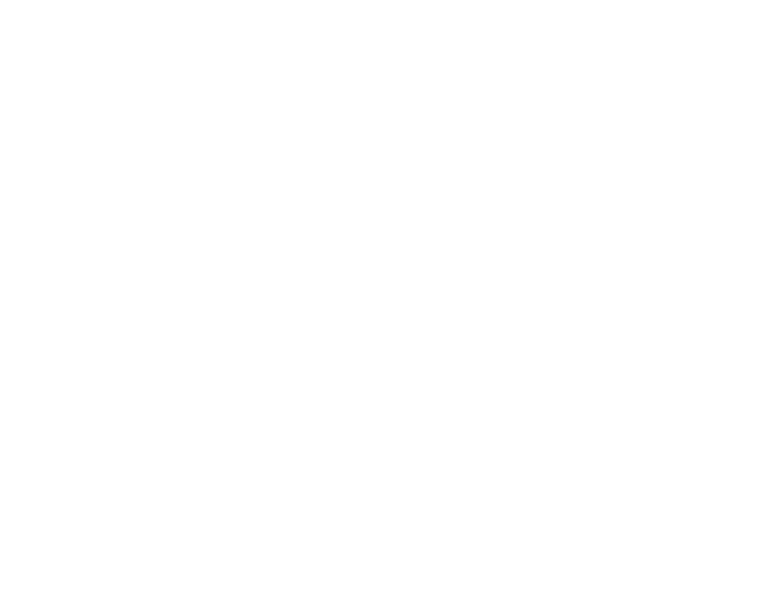 Syndic 219 logo