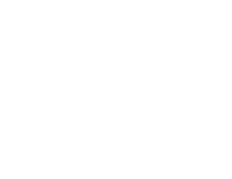 Terracime logo