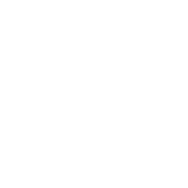 VSM logo